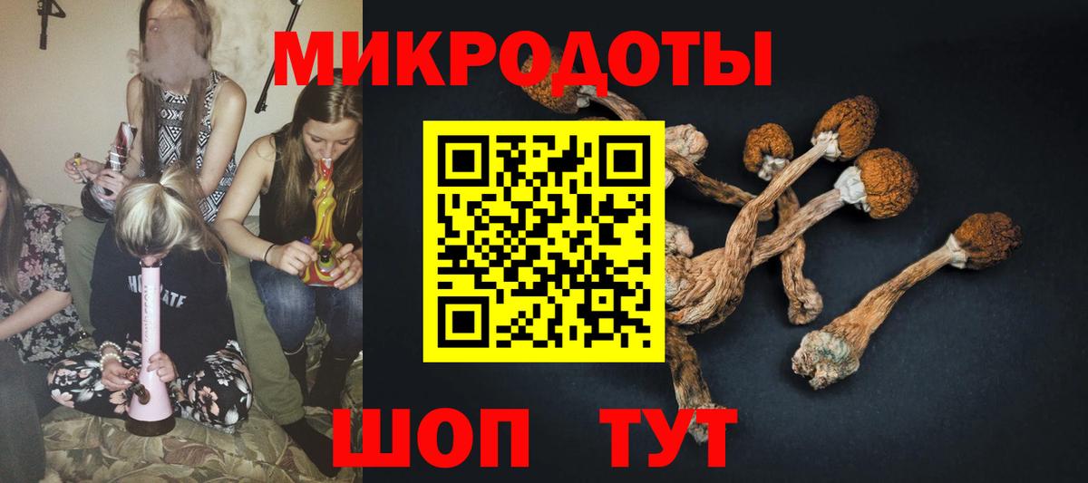 Карачаевск  Галлюциногенные грибы MAGIC MUSHROOMS  где купить наркотик  Галлюциногенные грибы Cubensis  Вход с VPN 