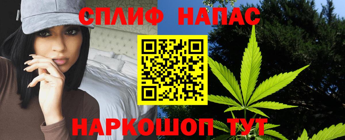 Шишки марихуана гибрид Карачаевск